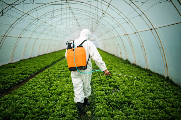 Best Wildlife Control Services  in Hebron, IN
