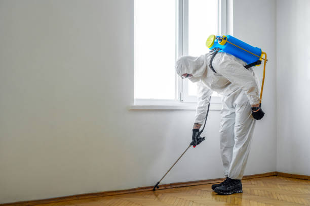 Best Pest Control Near Me  in Hebron, IN