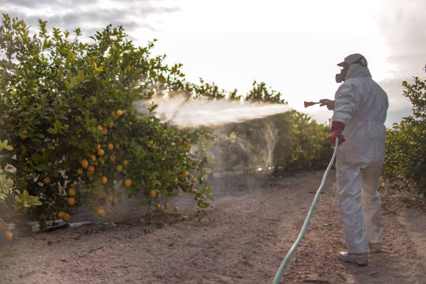 Best Pest Removal Services  in Hebron, IN