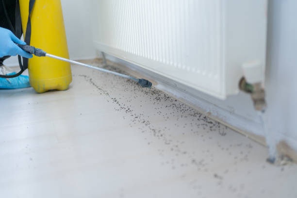 Best Commercial Pest Control Services  in Hebron, IN